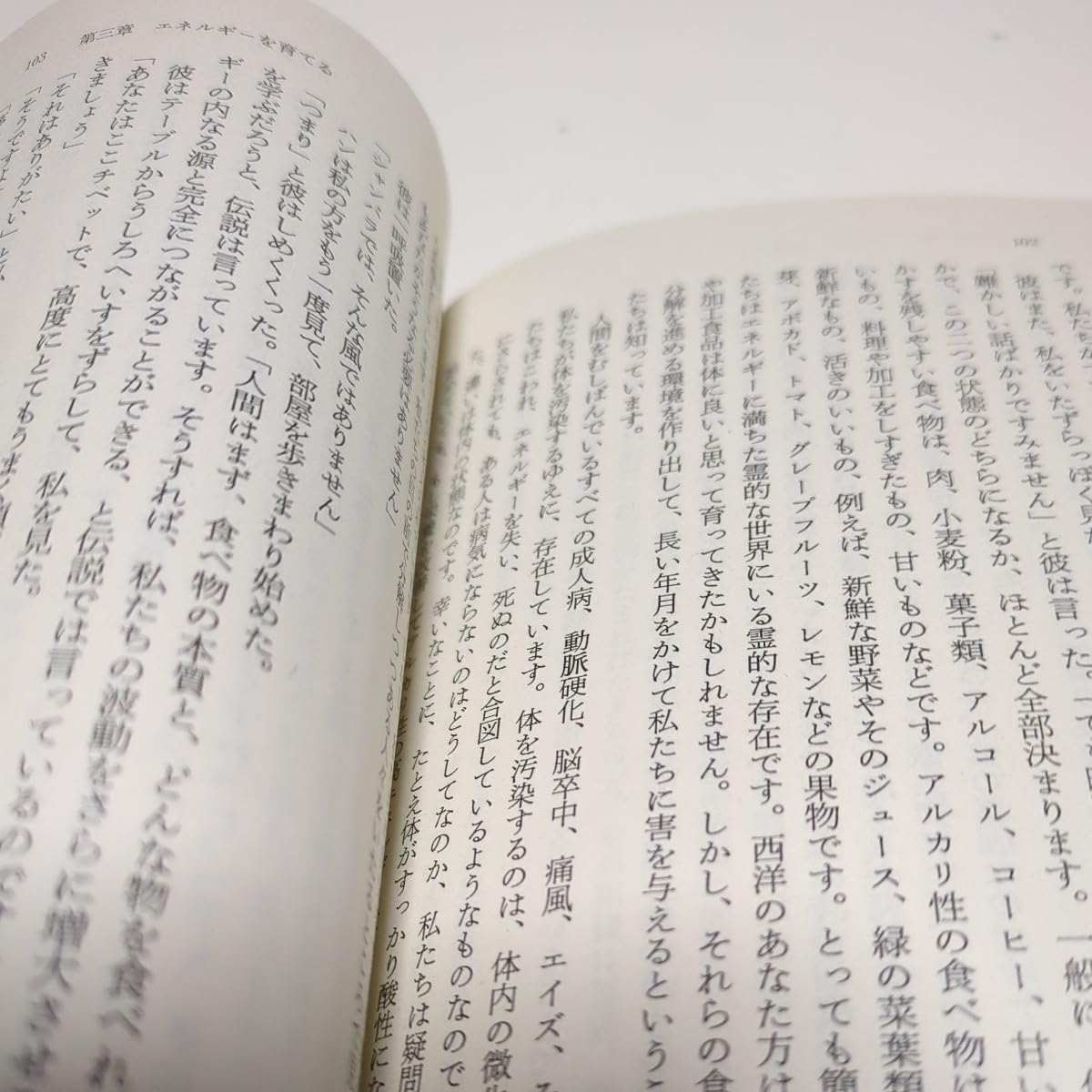 第十一の予言 シャンバラの秘密 第十一の予言 シャンバラの秘密 (角川文庫 レ 5-9) | ジェームズ